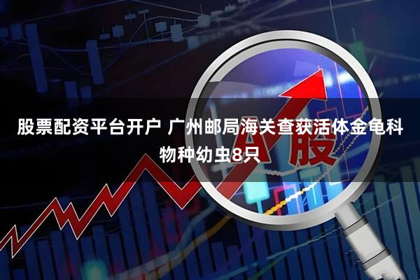 股票配资平台开户 广州邮局海关查获活体金龟科物种幼虫8只