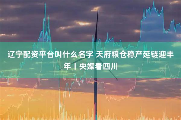 辽宁配资平台叫什么名字 天府粮仓稳产延链迎丰年丨央媒看四川